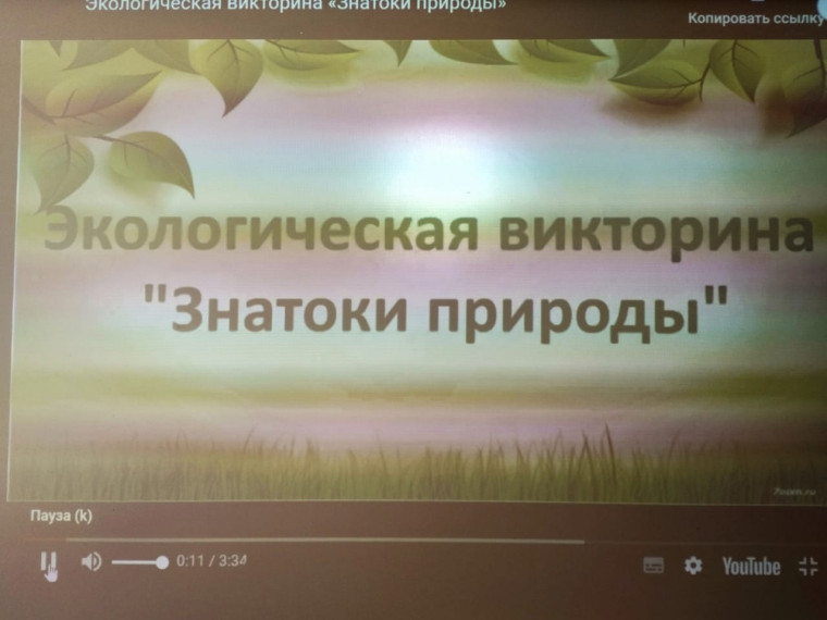 День эколога в пришкольном лагере.